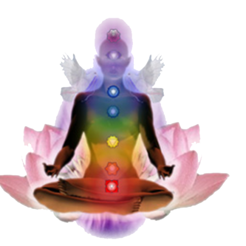 Fruit of Life Sacred Activation