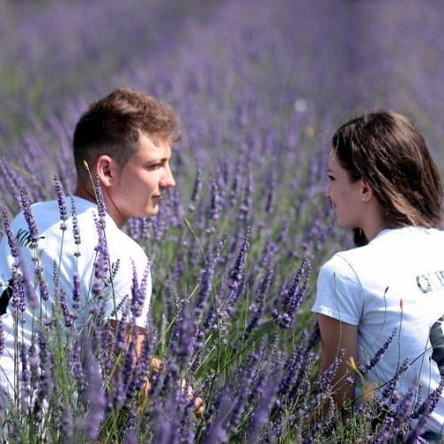 Healing All Relationships Infinity Star Grid Attunement