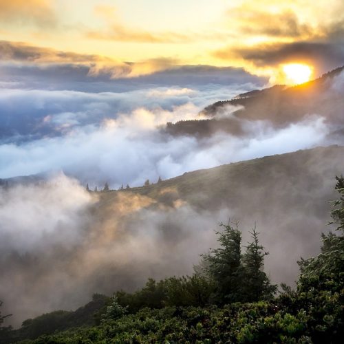 Heaven On Earth Sacred Activation