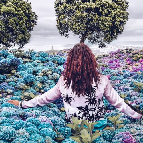 The Sacred Blue Print Sacred Activation