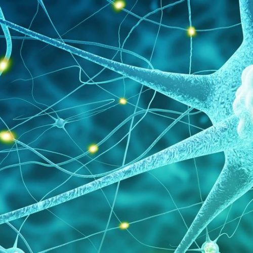 Nervous System Upgrade Sacred Activation