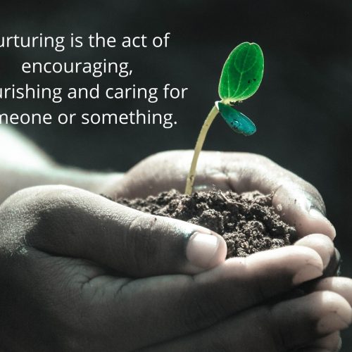 Arcturian Light Code 4 - Clears the expression of control through smothering and upgrades you to the frequency of NURTURING