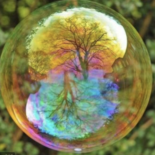 Language of Light Attunement