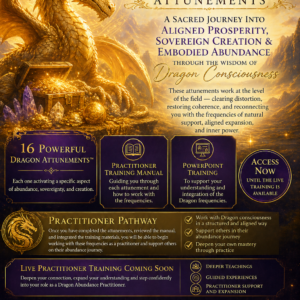 Dragon Abundance Attunements™ Practitioner Training