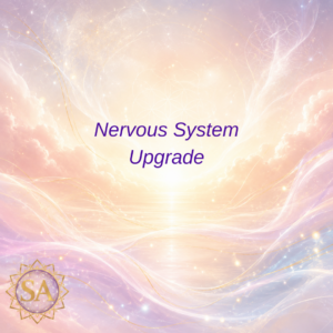 Nervous System Upgrade Sacred Activation